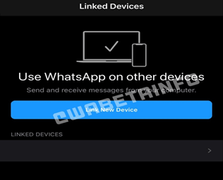 WhatsApp para iPad, la respuesta de Facebook a sus usuarios. imagen 1